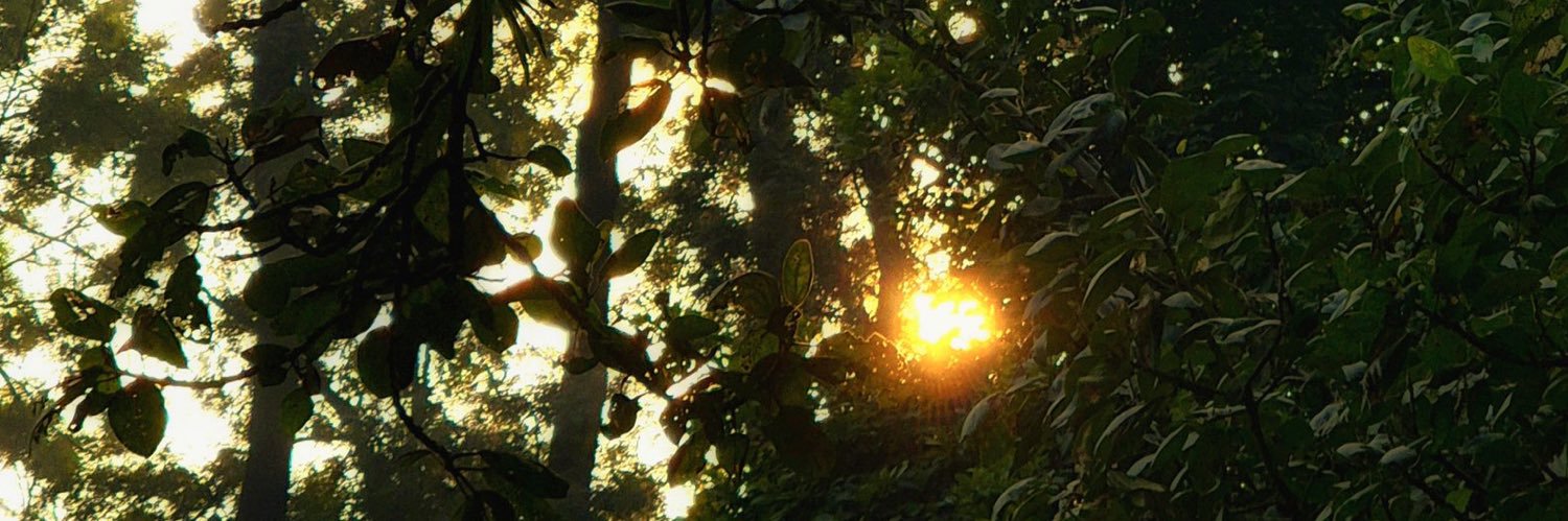 letninho's profile banner image