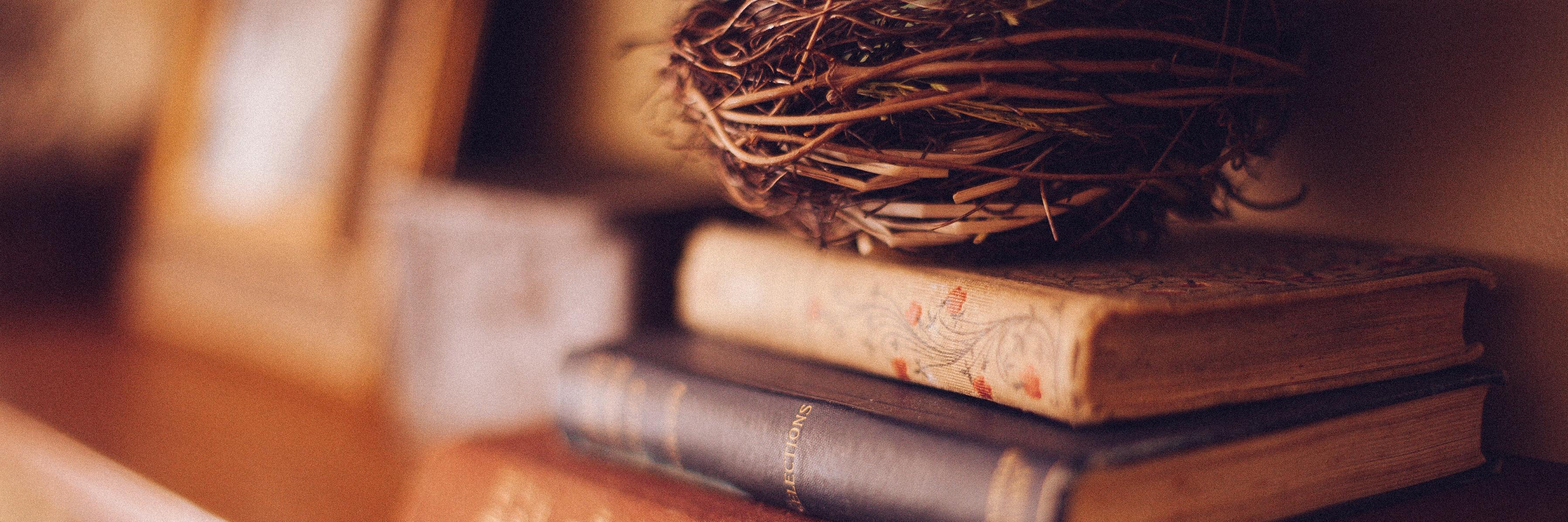 Erika⁷ @ The Book's the Thing 📚 banner