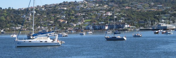 BlaqSaint🌻 banner