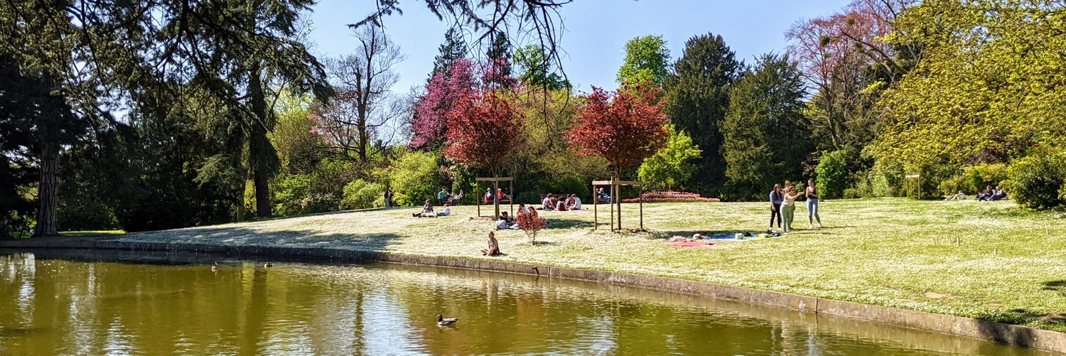 Saverio Favaron banner