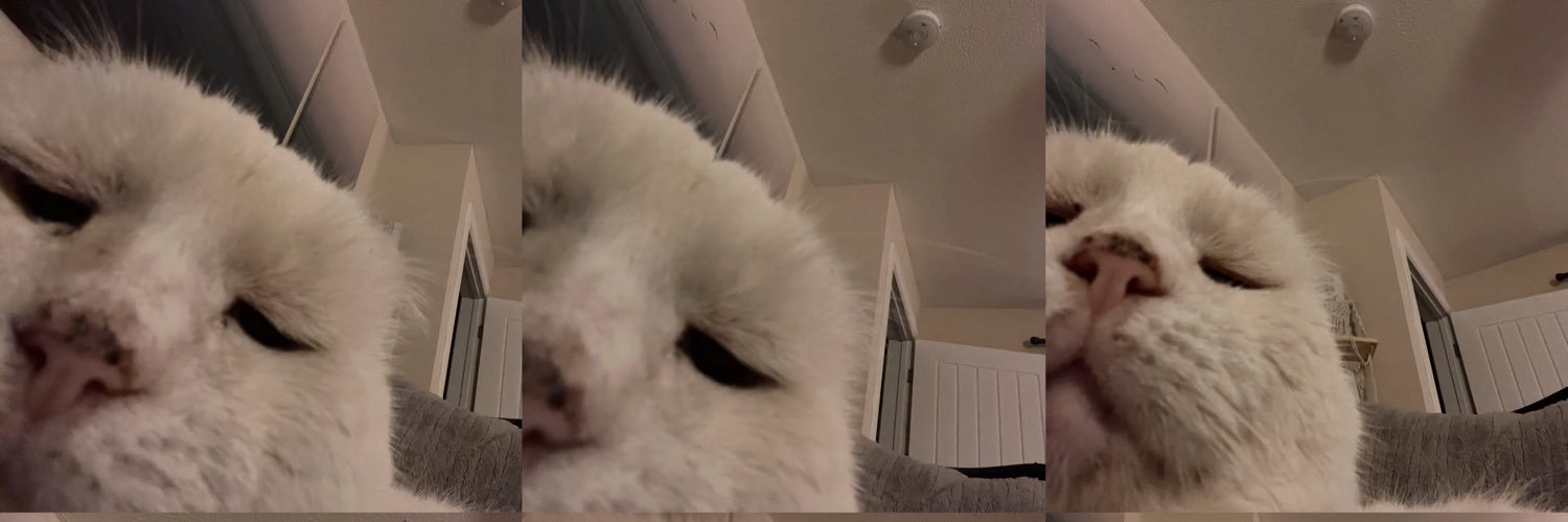 chloegibson96's profile banner image