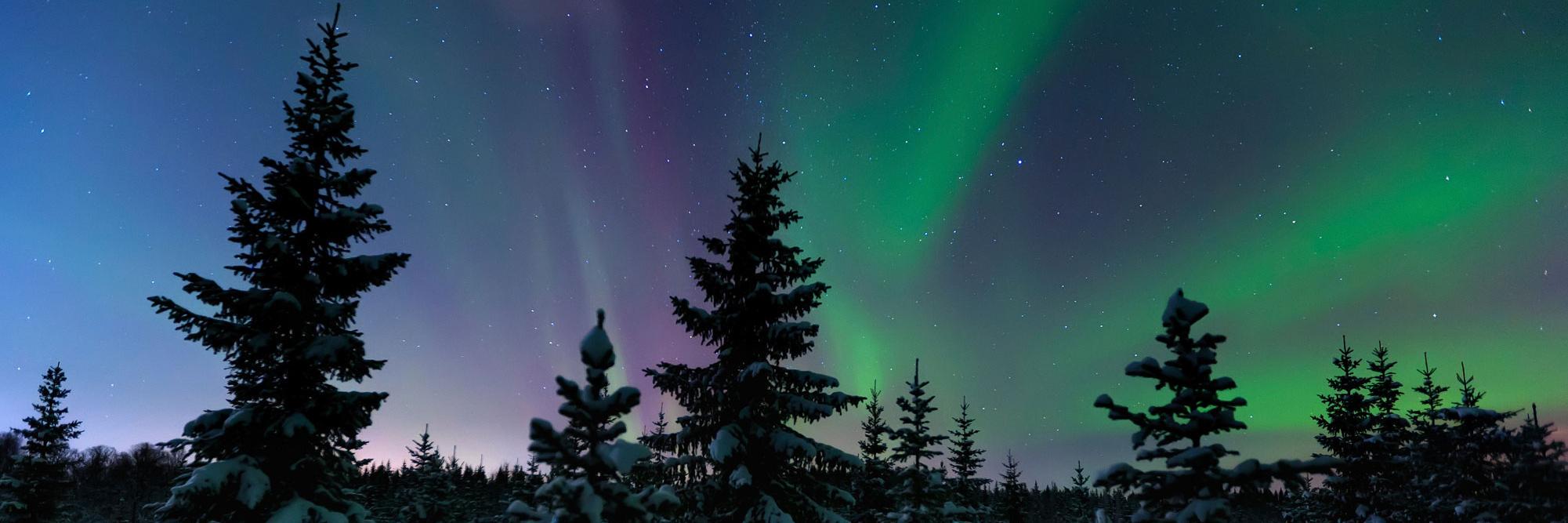 WPSverige's profile banner image