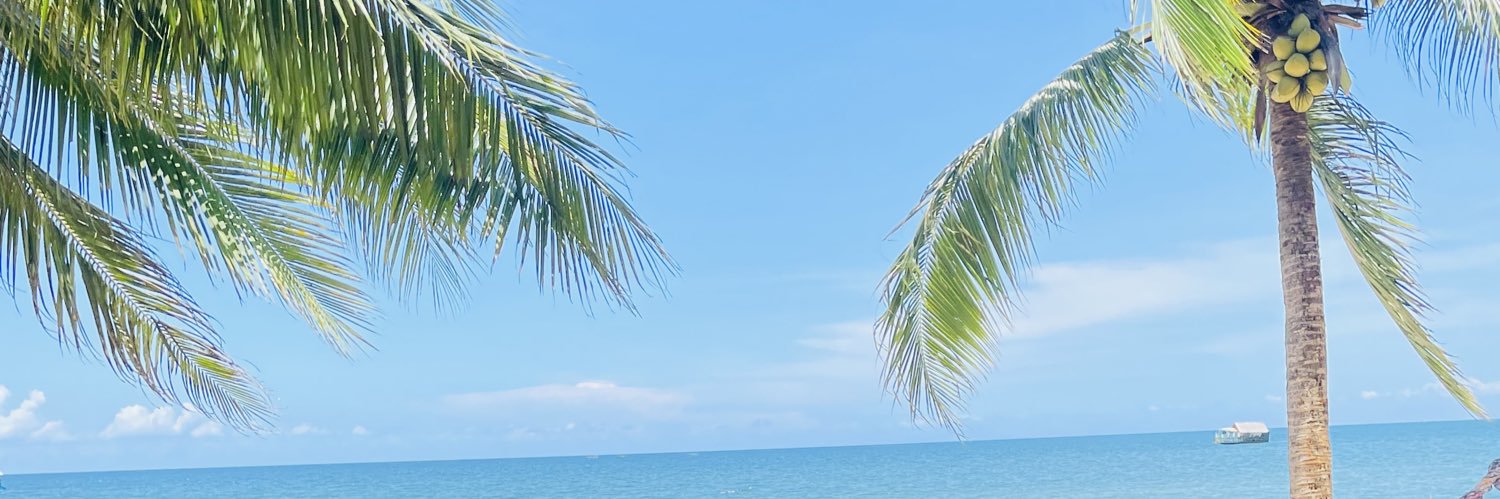 b_yankaa's profile banner image