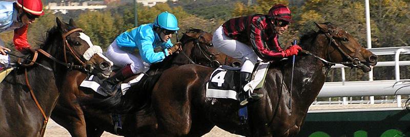 Lu Avial-Chicharro banner