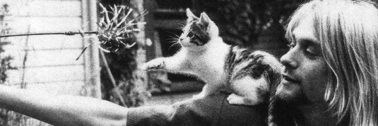 CatsNameMittens's profile banner image