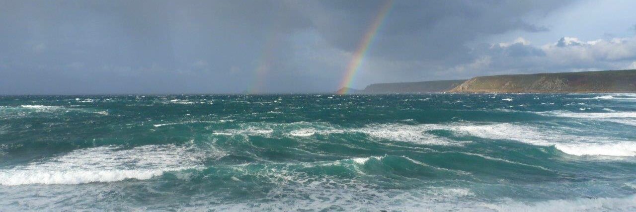 Scott Hamilton banner