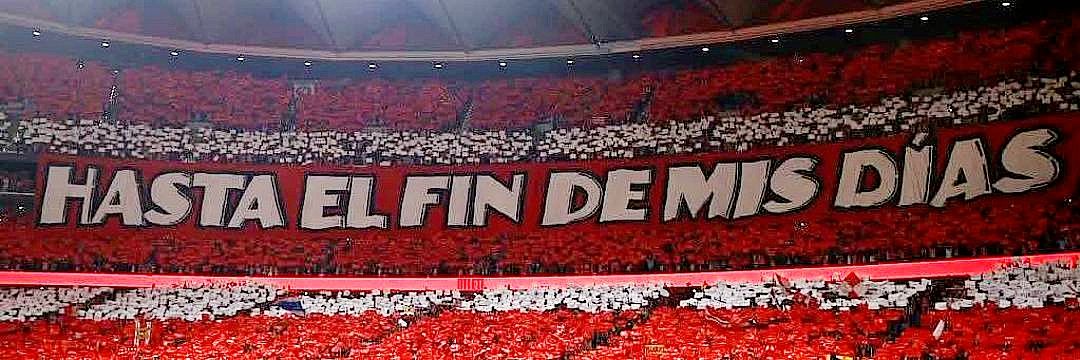 𝕸𝖆𝖗í𝖆 ∞🐶💗 banner