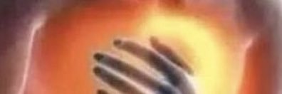 franco banner