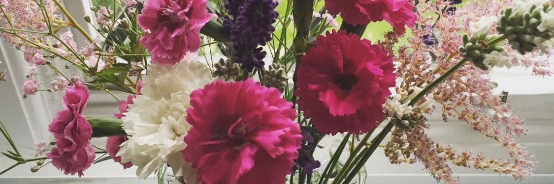 Harriet Underwood banner