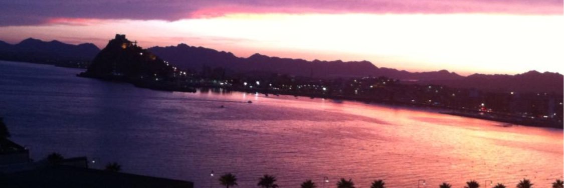 ENFERMERA DE COMUNITARIA banner