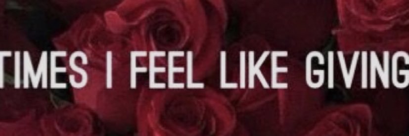 PinkHeels__'s profile banner image