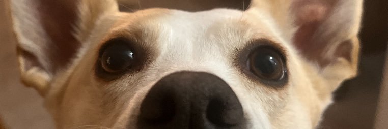 Cole Geil banner