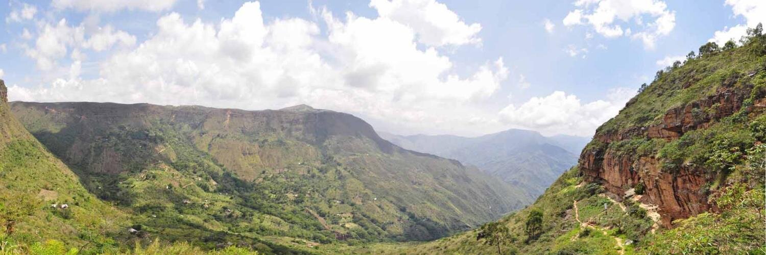 Guillermo Rincón V. banner