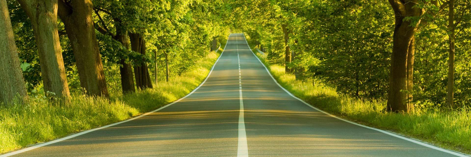 Patrick Thelen banner