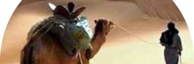 الزمن القادم banner