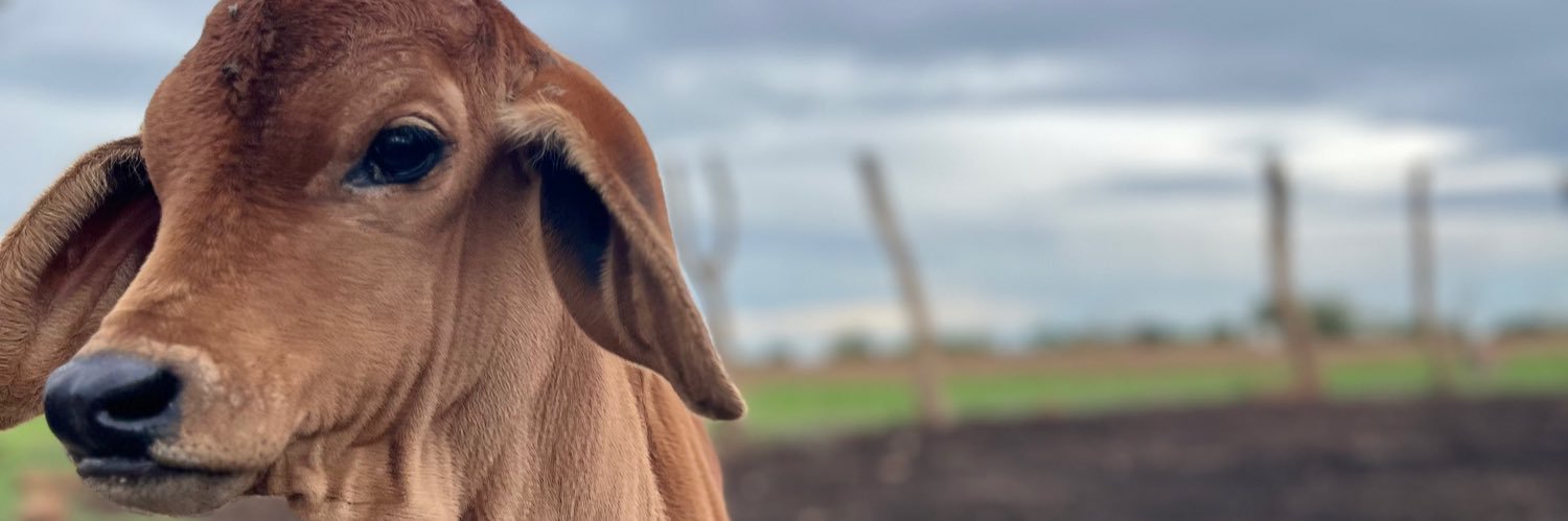 deandrelfc's profile banner image