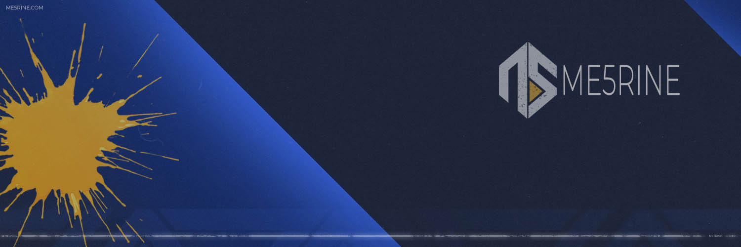 Florian 'Me5rine_' Lefour banner