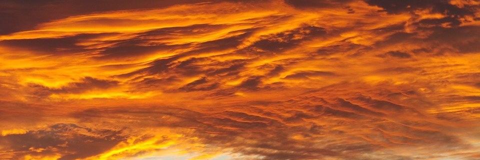 alejandropucha's profile banner image