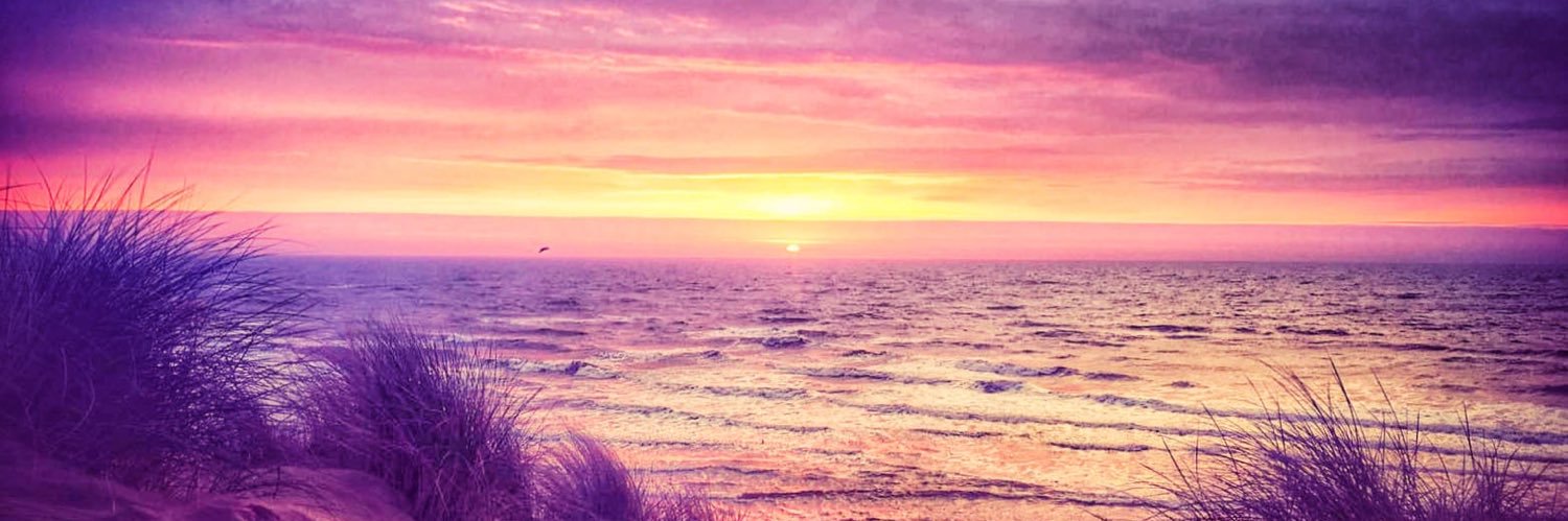 Lauren Mitchell 🌻 banner