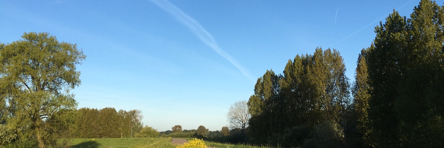 avanmilstreppel's profile banner image