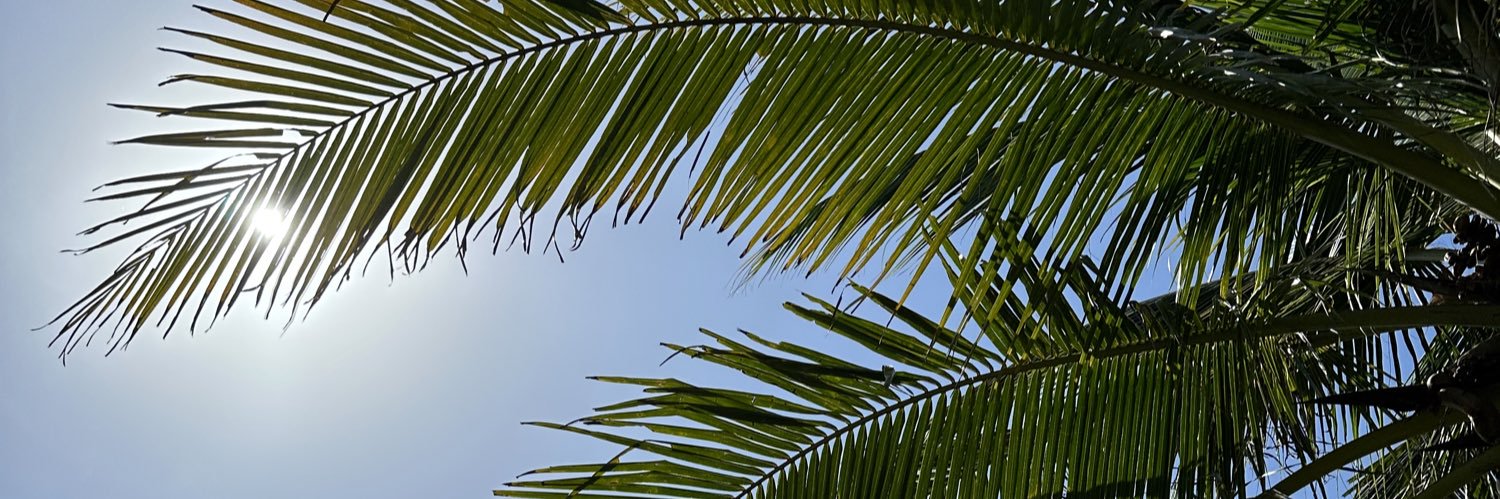romaniebailey's profile banner image