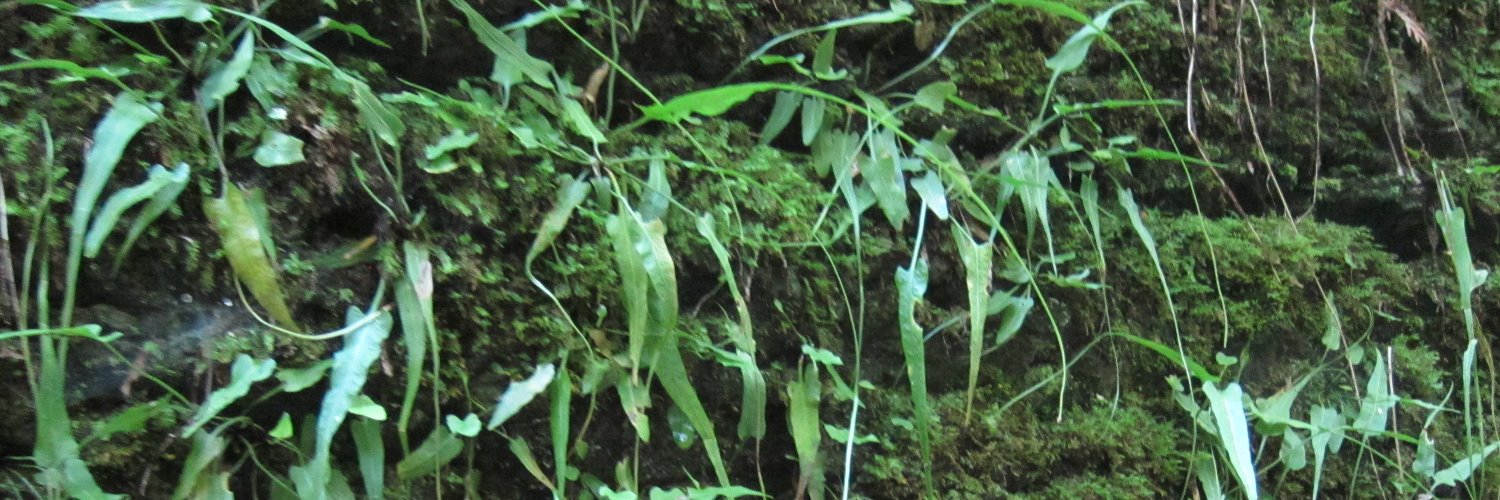 barbmurck's profile banner image