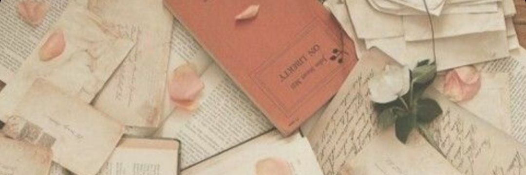verorevuelta's profile banner image