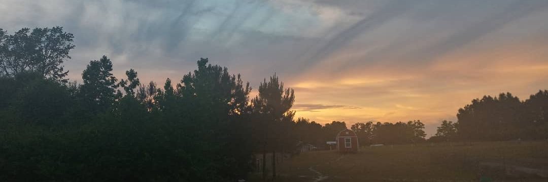 Ellyssa Valenti Kroski banner