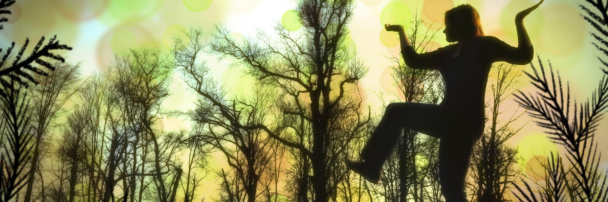 Felineda's profile banner image