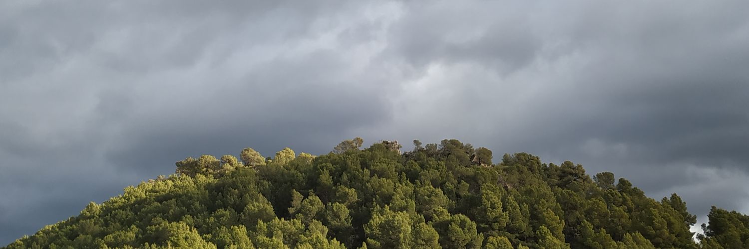 julioaracil's profile banner image