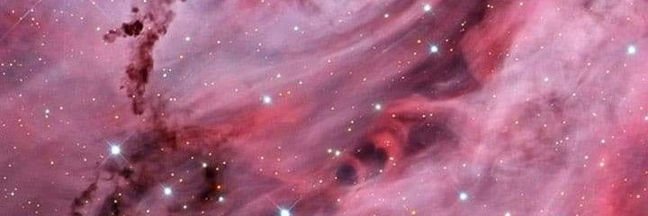 raspberry_xxx's profile banner image