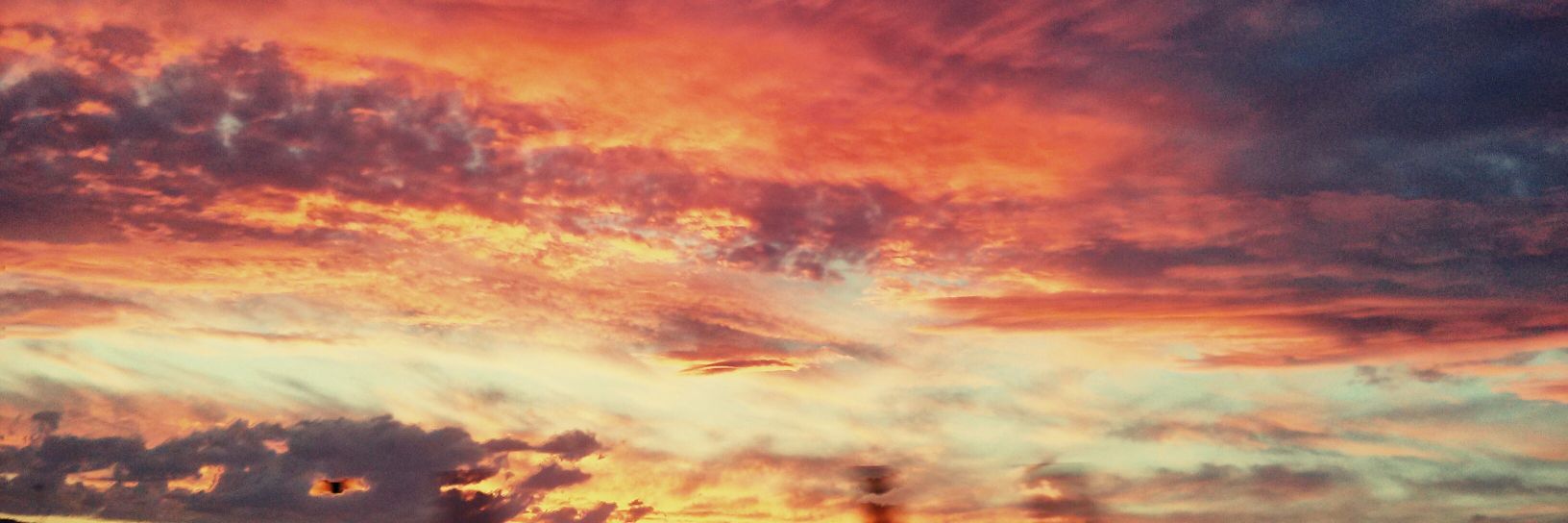 kidepo's profile banner image