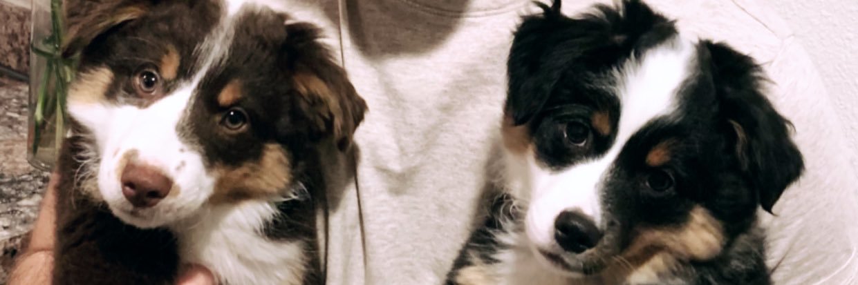 toriiijohnson's profile banner image