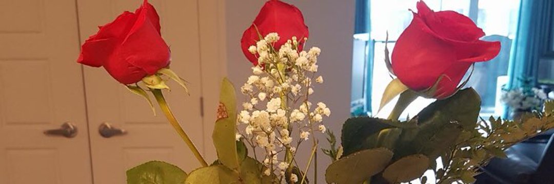 jennycocoo's profile banner image
