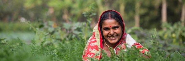 iccotweet Profile Banner