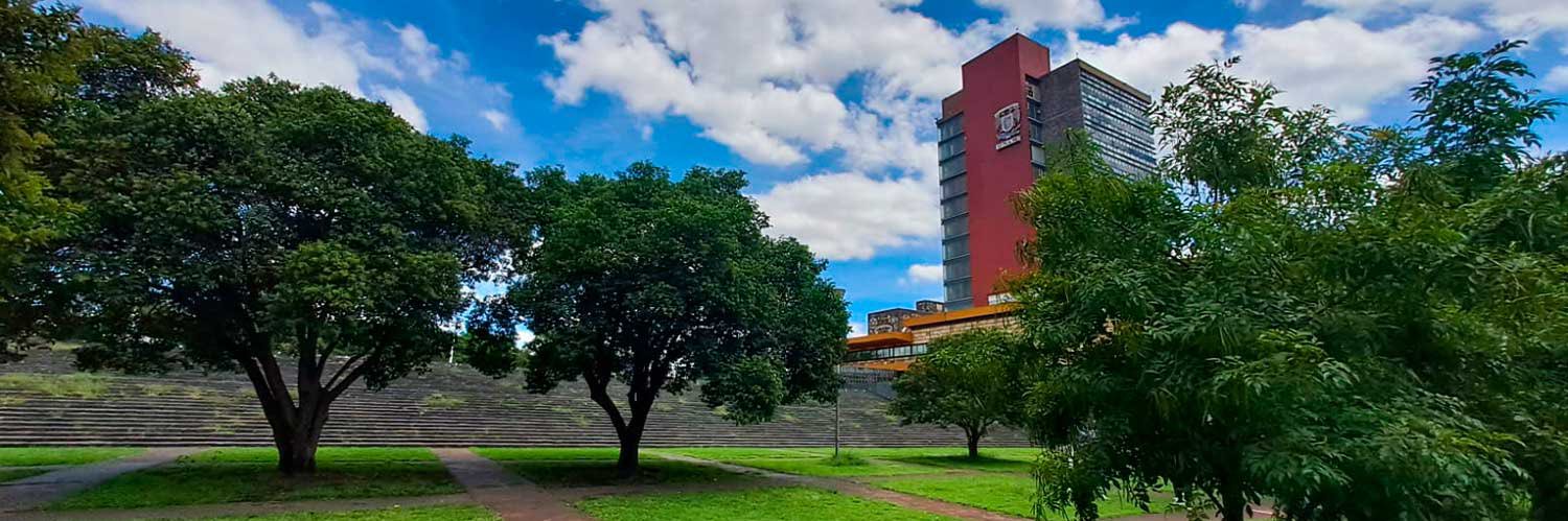 UNAM banner