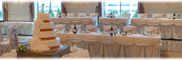 VenutisAddison Profile Banner