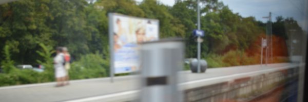 monaelswah Profile Banner