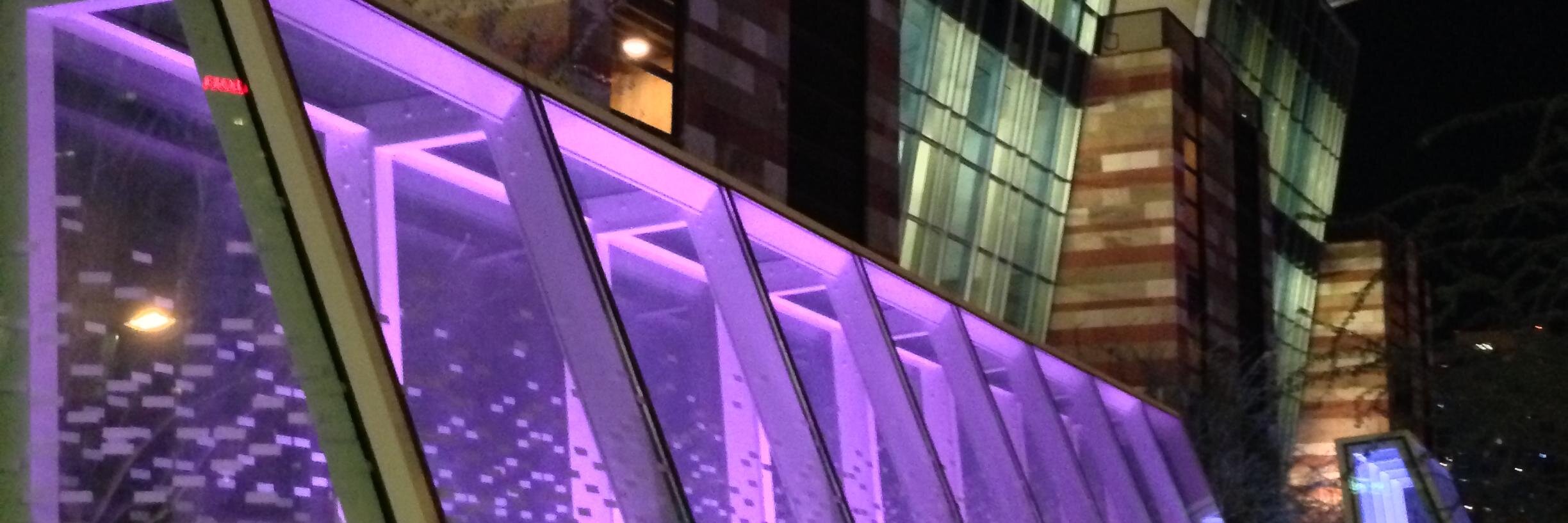 Pam Powers Hannley banner