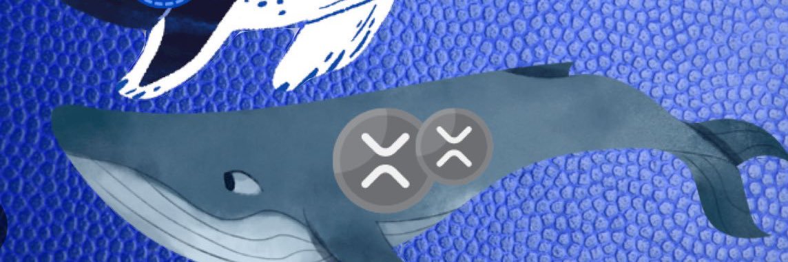 the_twit_side's profile banner image