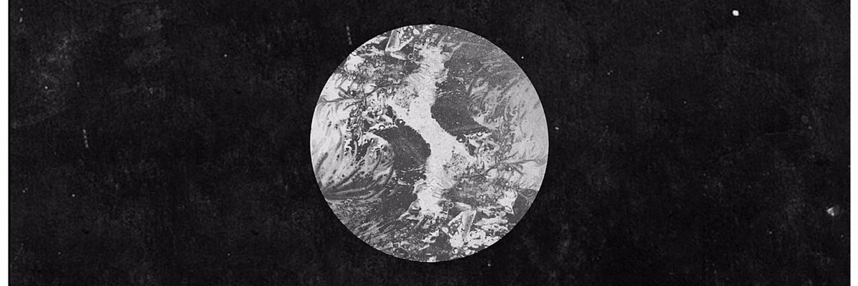Beek_er's profile banner image