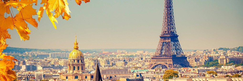 Rodrigo Fernandes banner