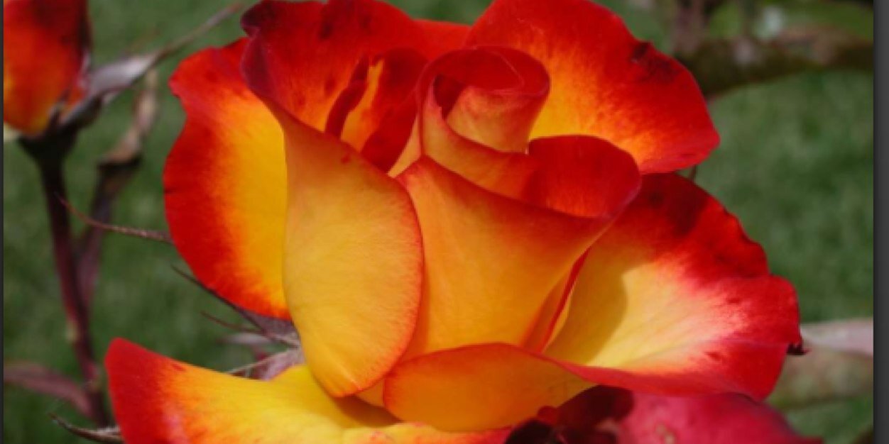 ChristineMcC28's profile banner image