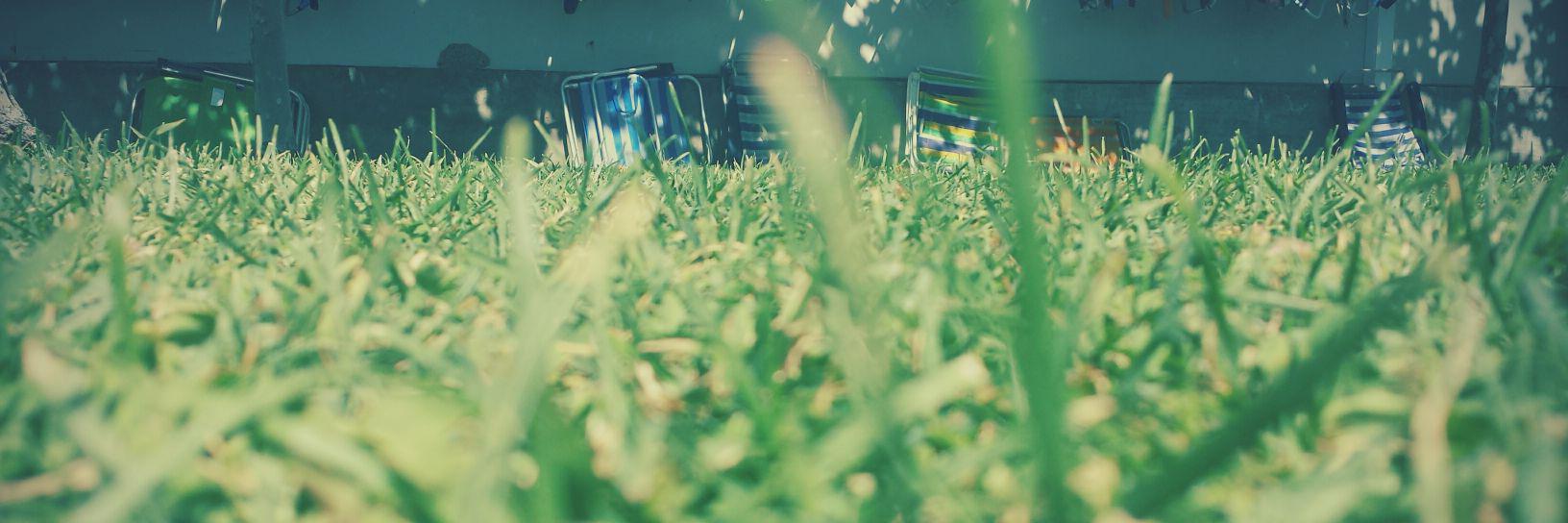 Fadri1989's profile banner image