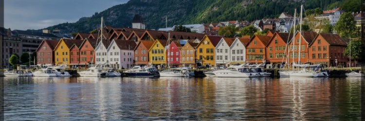 ingvild_therese's profile banner image
