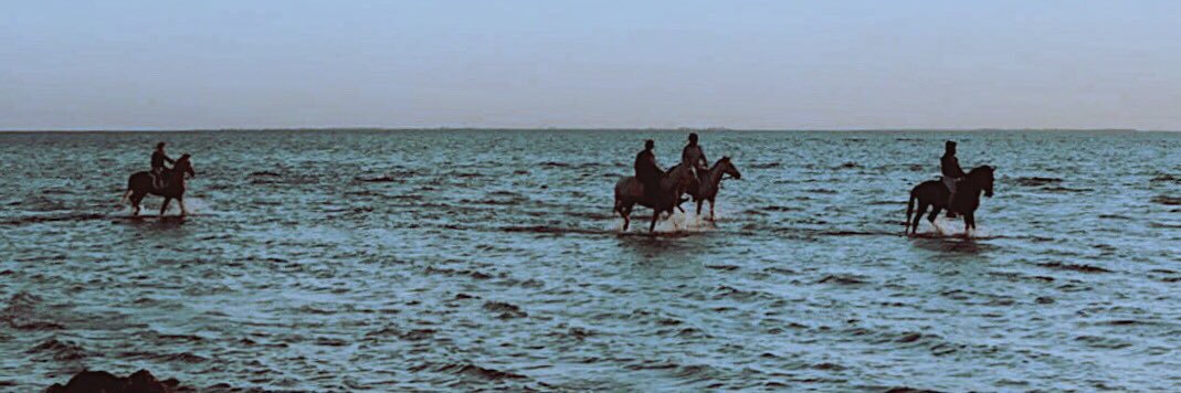 m_z071's profile banner image