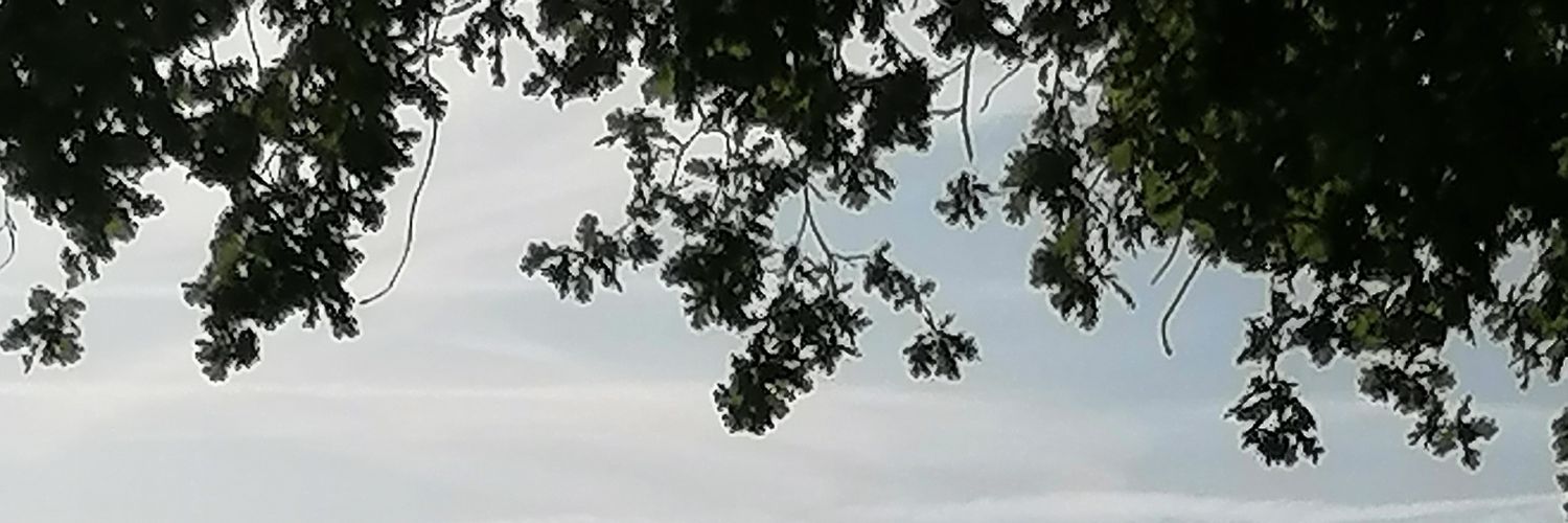CorradiniLidia's profile banner image