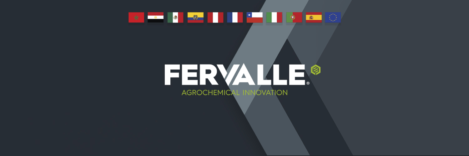 Fervalle's profile banner image