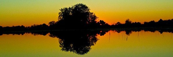molemo_bw's profile banner image