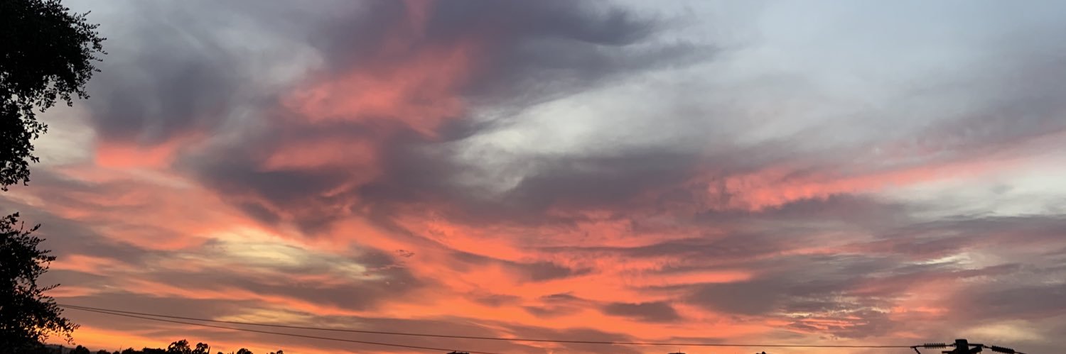 themollymorgan's profile banner image